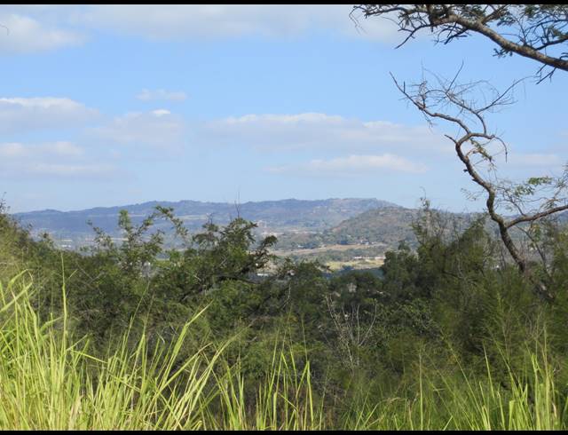 24.60HA FARM FOR SALE IN BERYL